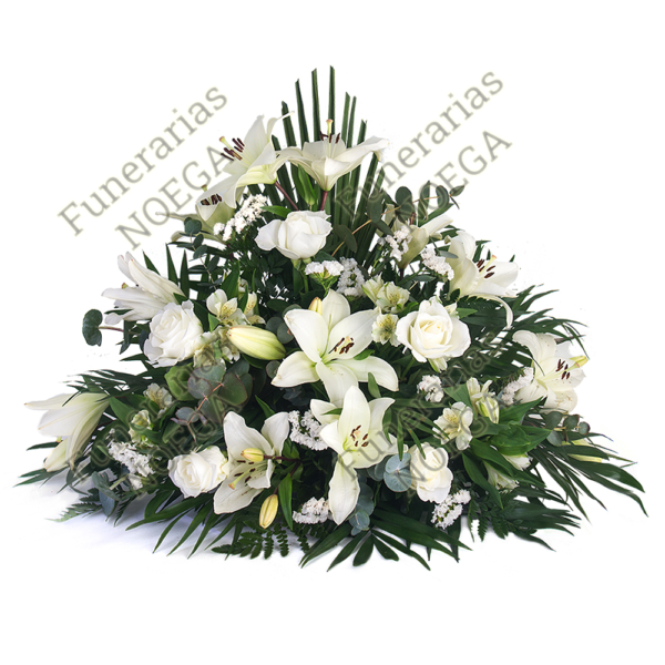 Centro de Flores Blancas - Funerarias Noega